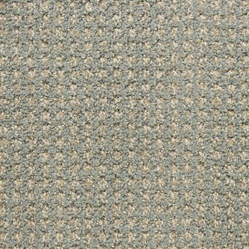 Carpet — Masland Carpets